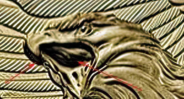 Eagle Underbeak Detail