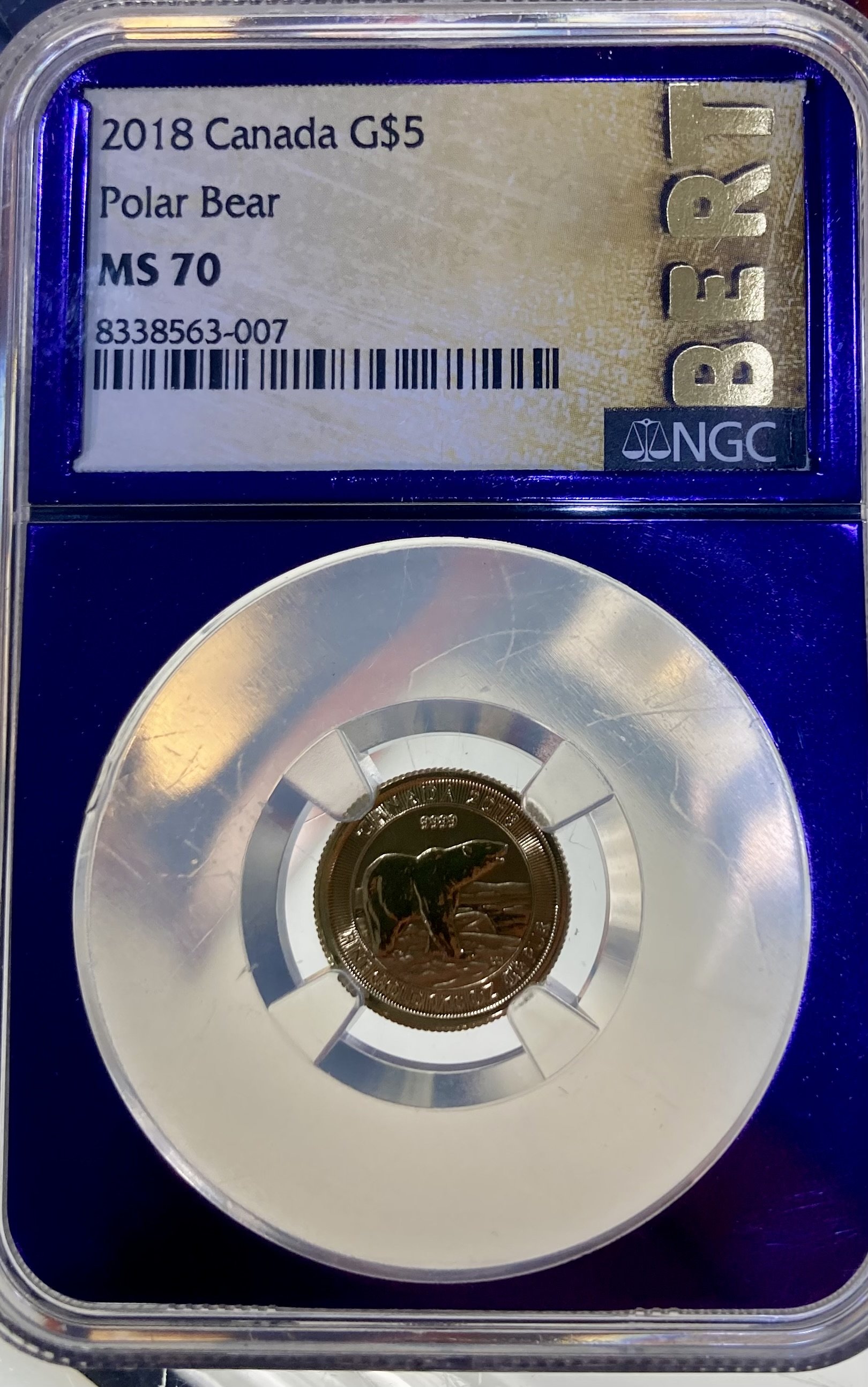 Mysterious BERT sticker on PCGS holder