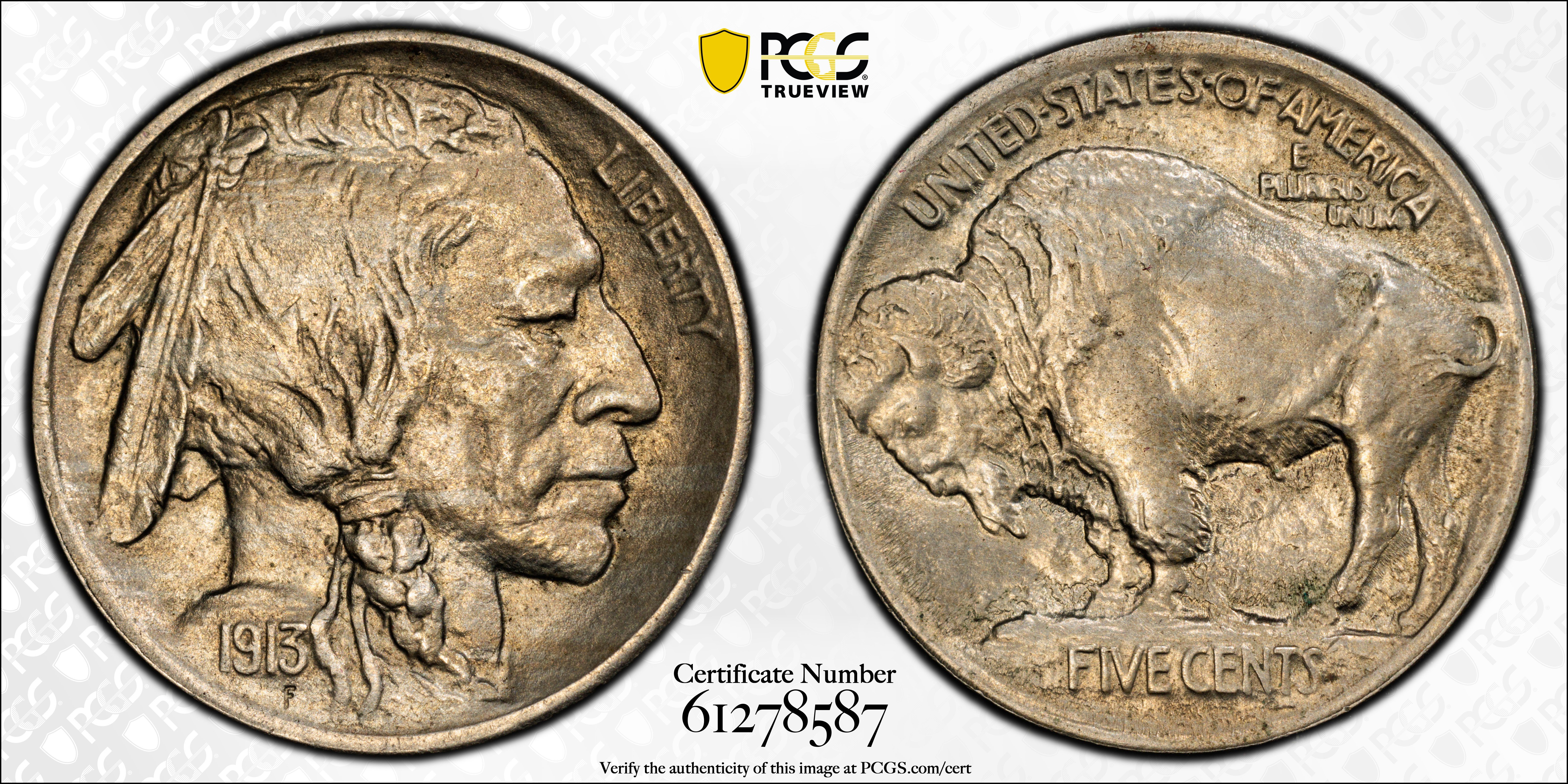 TrueView verification success