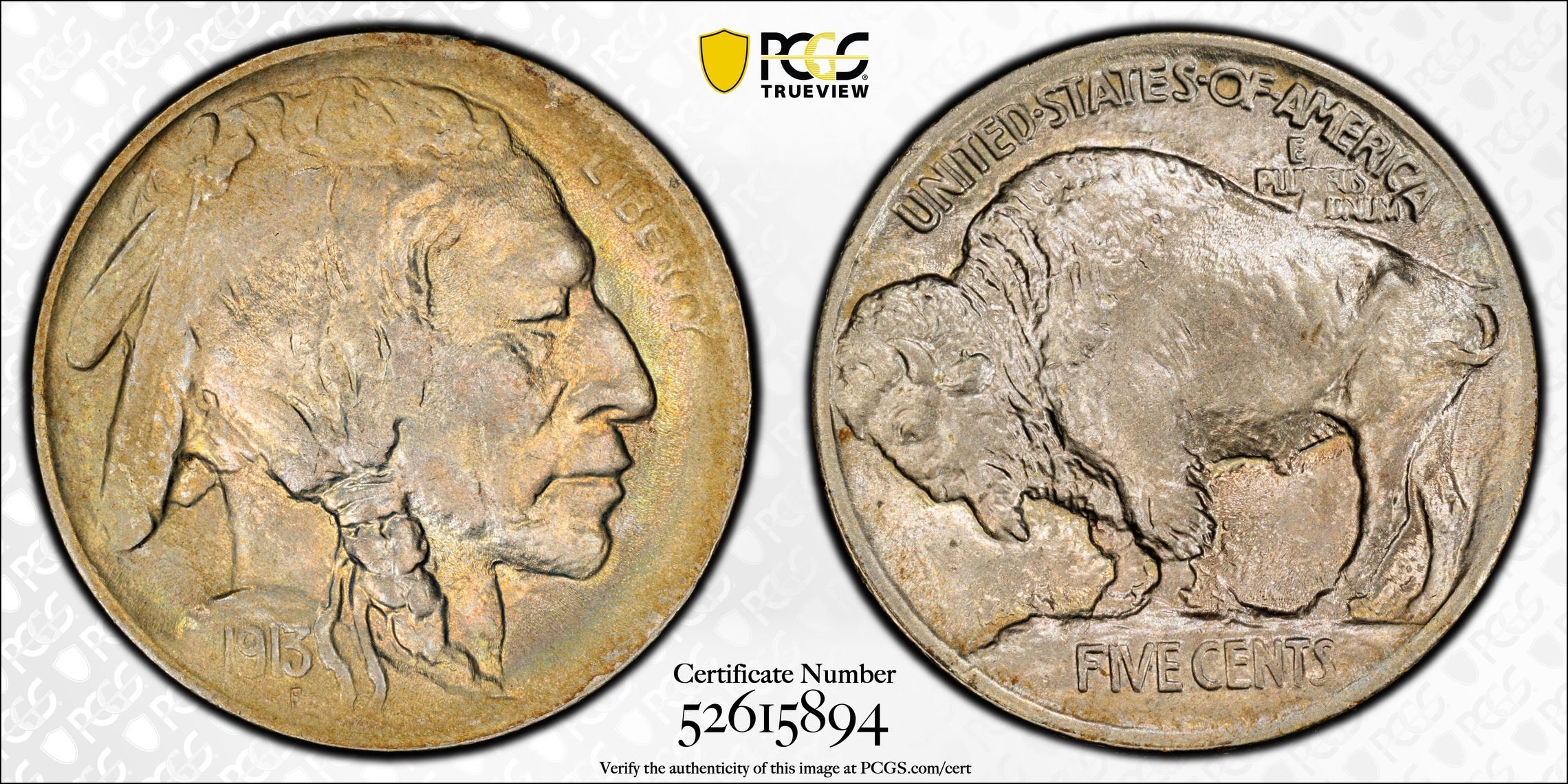 1913 Buffalo Nickel