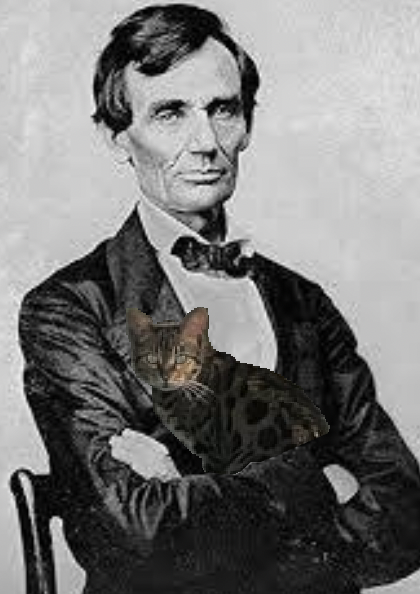 Microscopic view of penny surface alterations