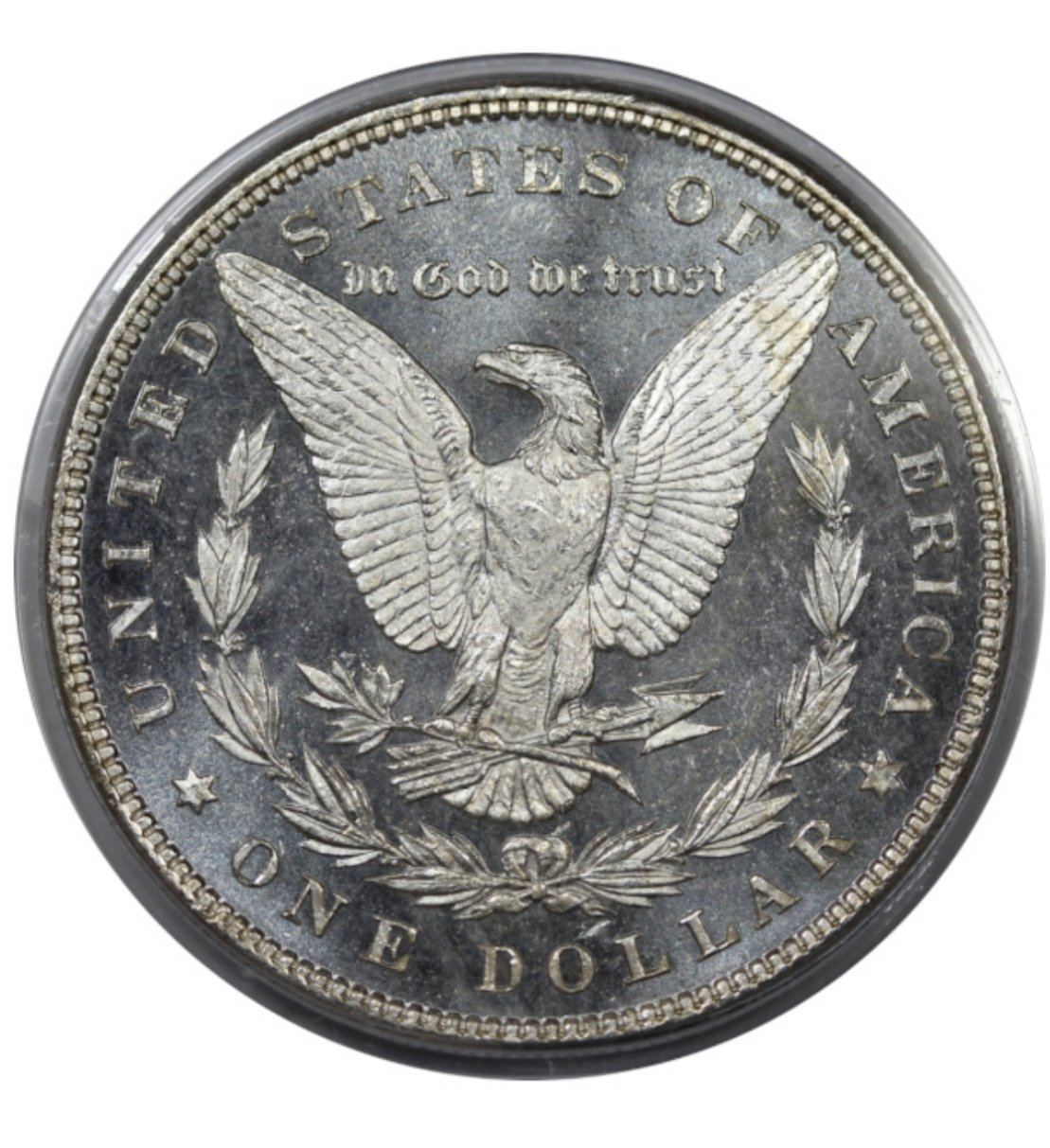 Morgan Dollar Reverse