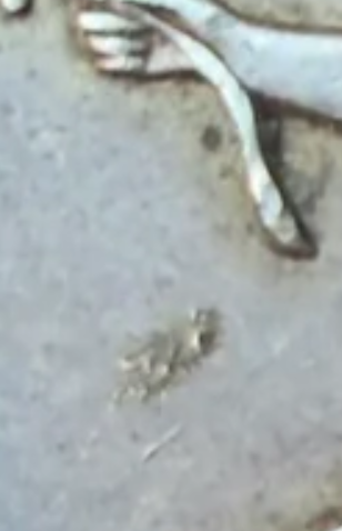 Trade Dollar anomaly closeup