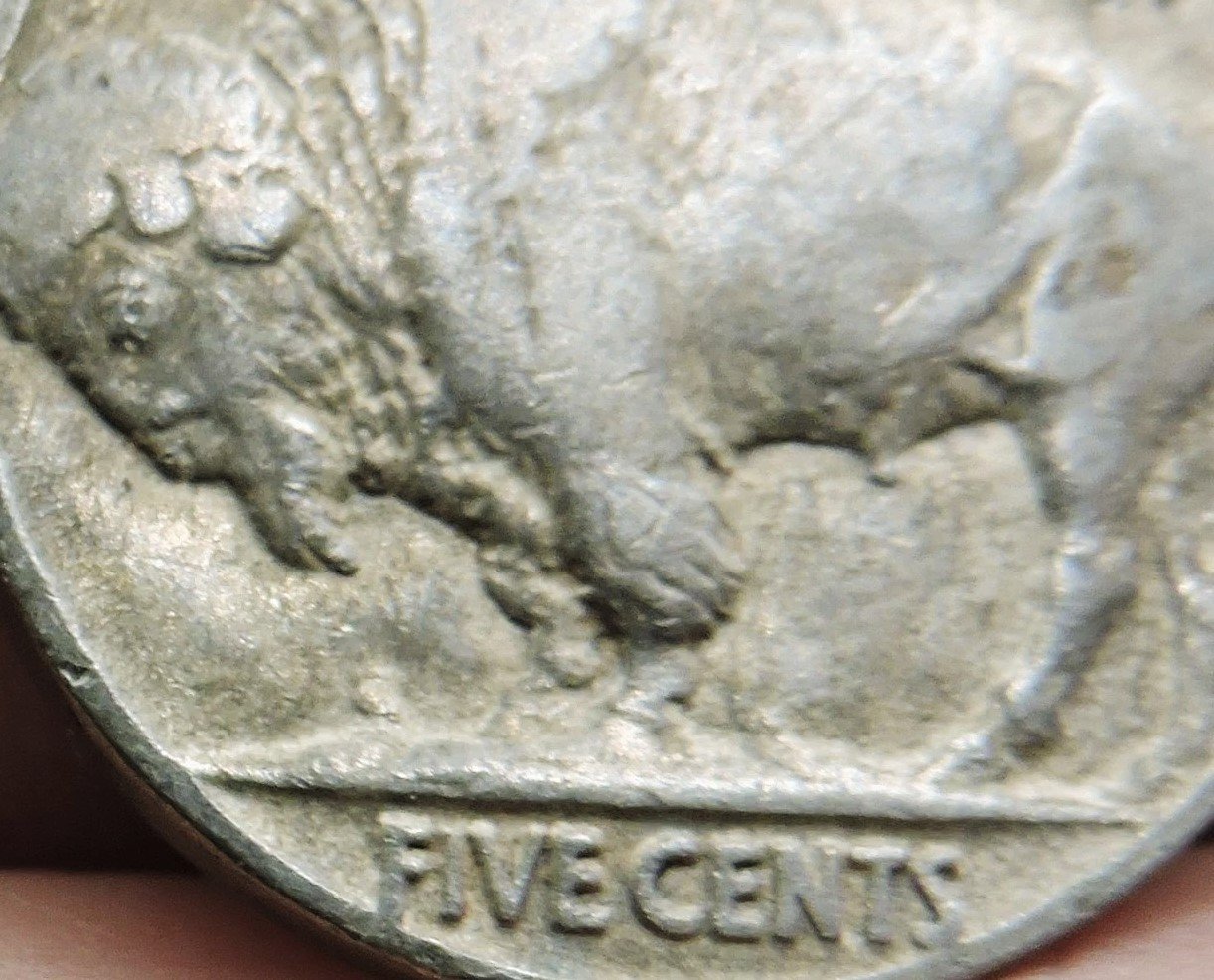 1917 Buffalo nickel anomaly