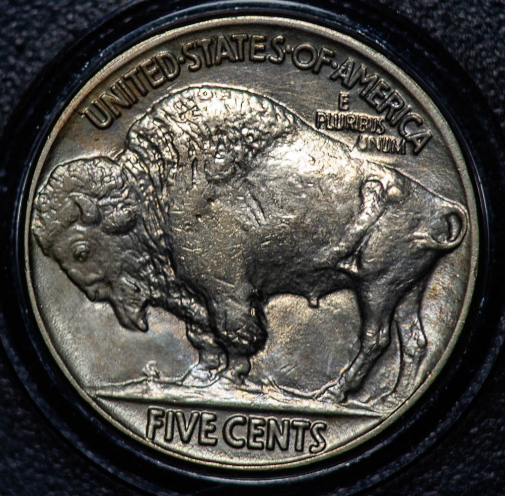 1913 Type 1 Buffalo Nickel Obverse