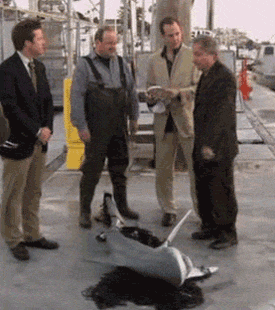 Carr's satirical 'Insecurity Issue' hallmark